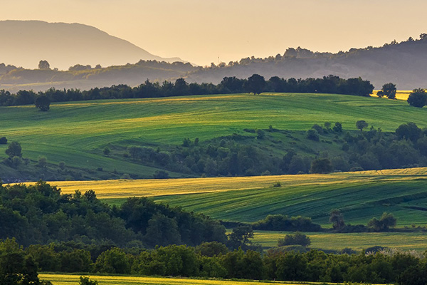 可降解的紙膠帶是怎么煉成的？
